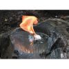 Ultimate Survival Technologies WetFire Tinder 5-Pack