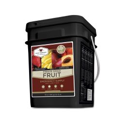 Wise Foods Fruit 152 Servings
